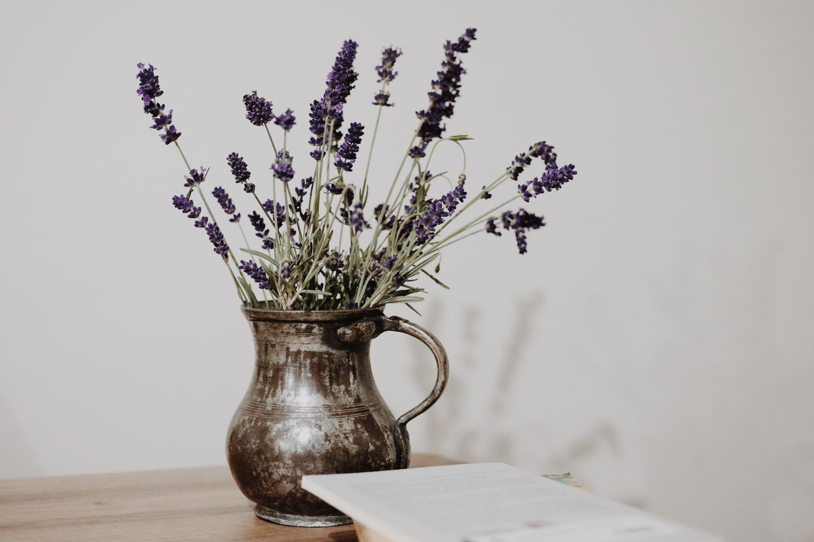 Lavender Pot Plant bedroom — cozy home