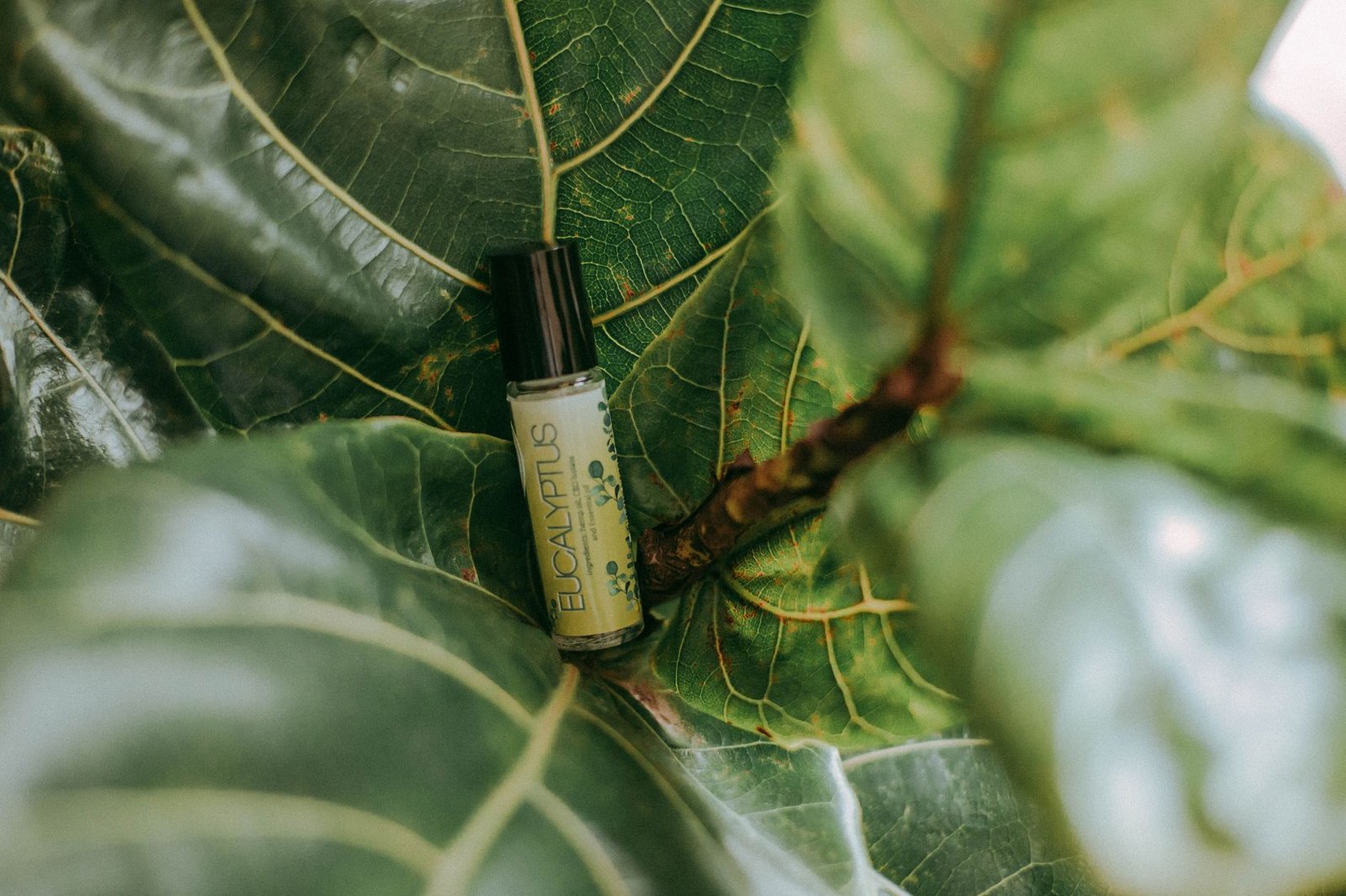 Eucalyptus Essential Oil bedroom — cozy home