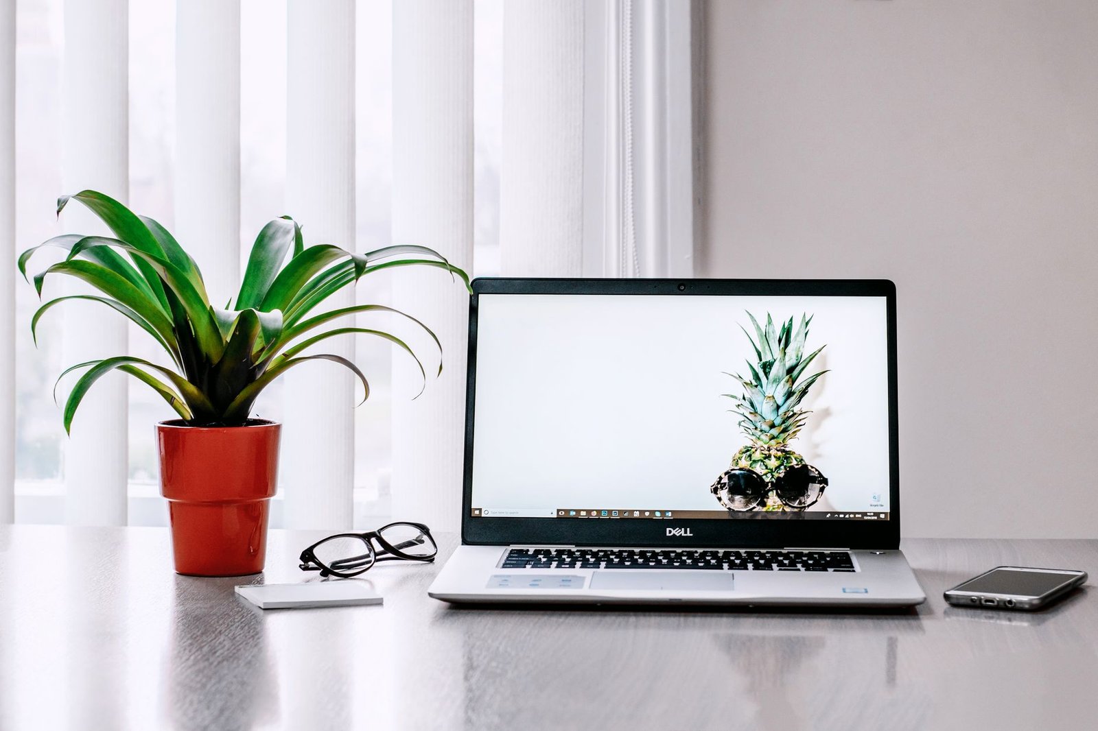 Small potted snake plant on a minimalist wooden desk next to a laptop in a bright home office