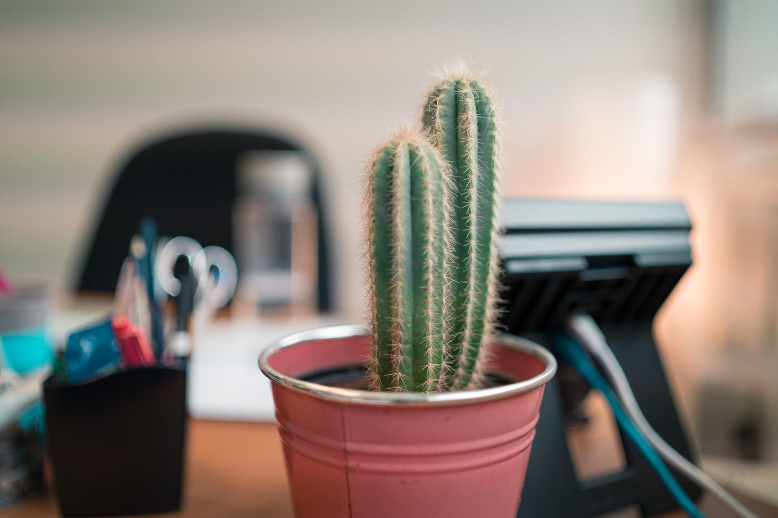Cactus Desk Plant home office — cozy home