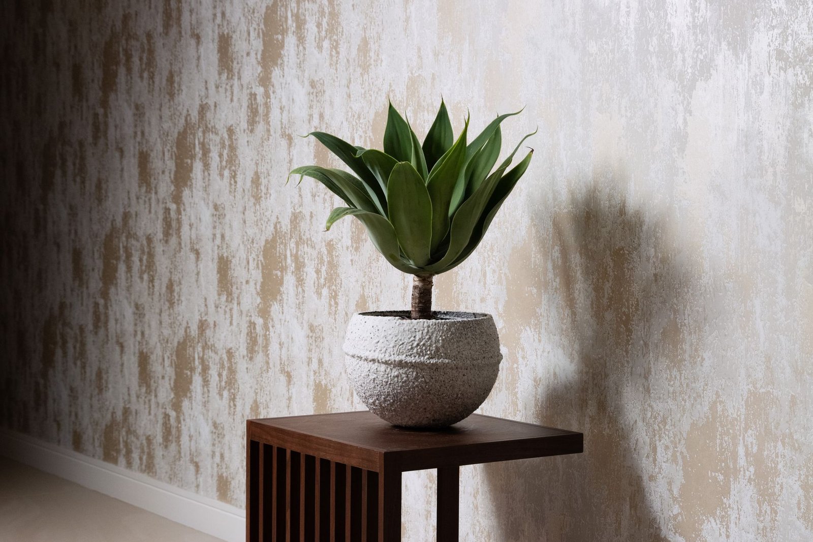 Tall Indoor Plant Pot living room — cozy home