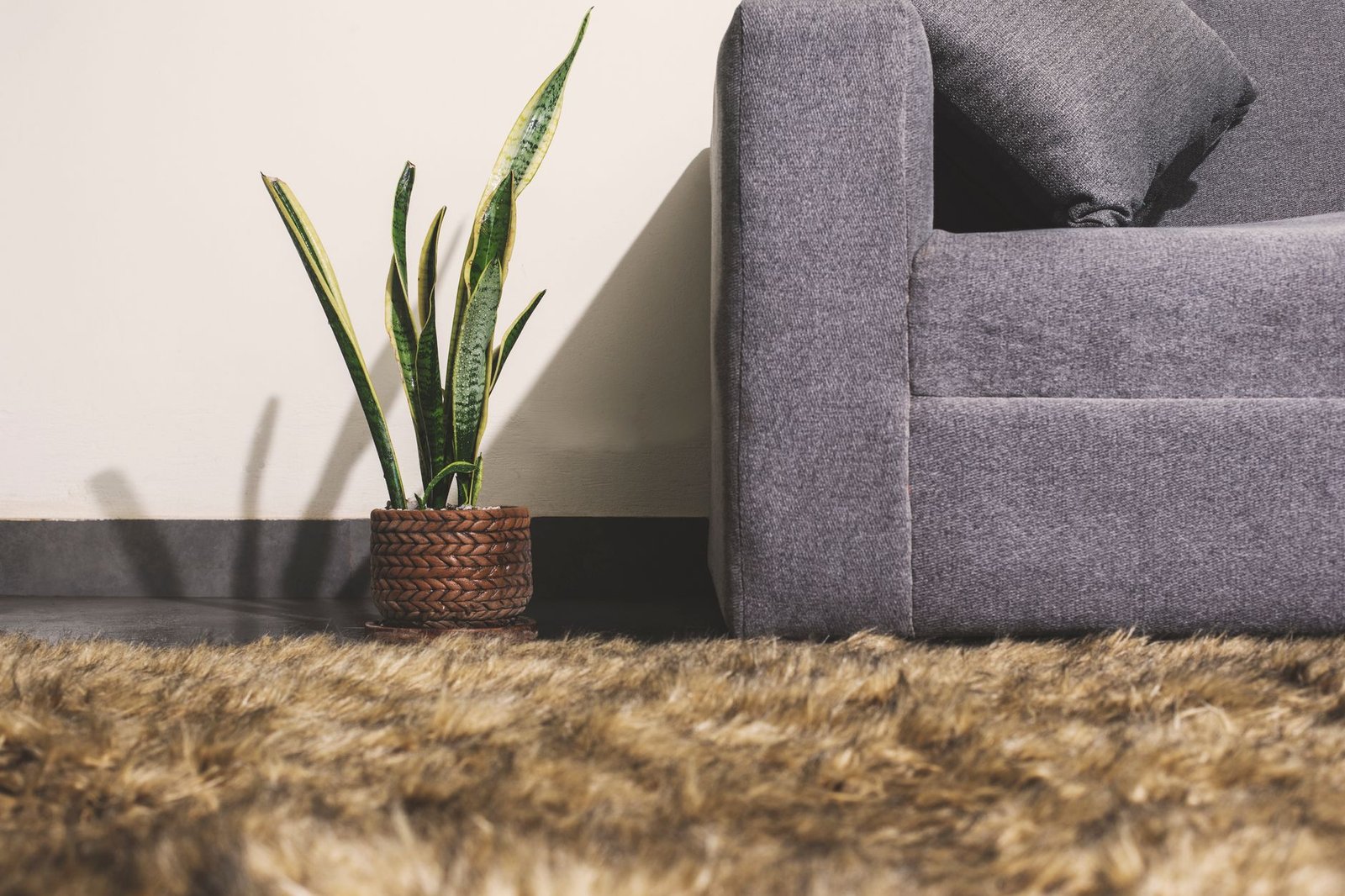 Realistic Faux Palm living room — cozy home