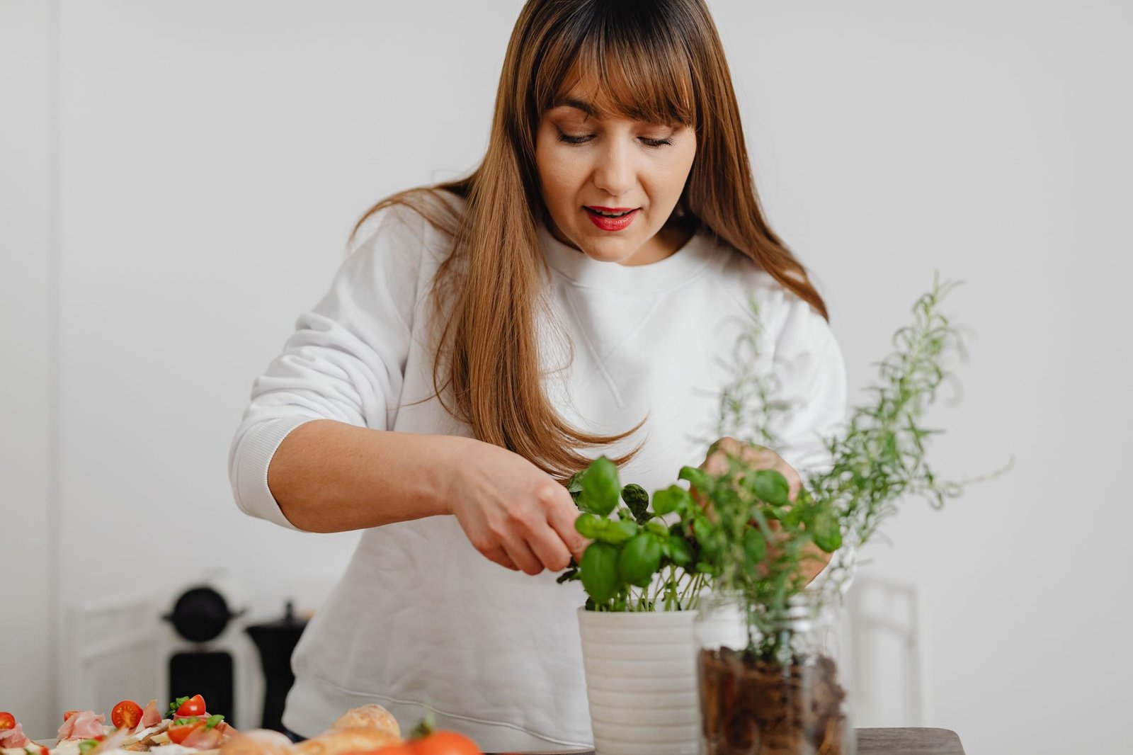 Self Watering Herb Pot kitchen — cozy home