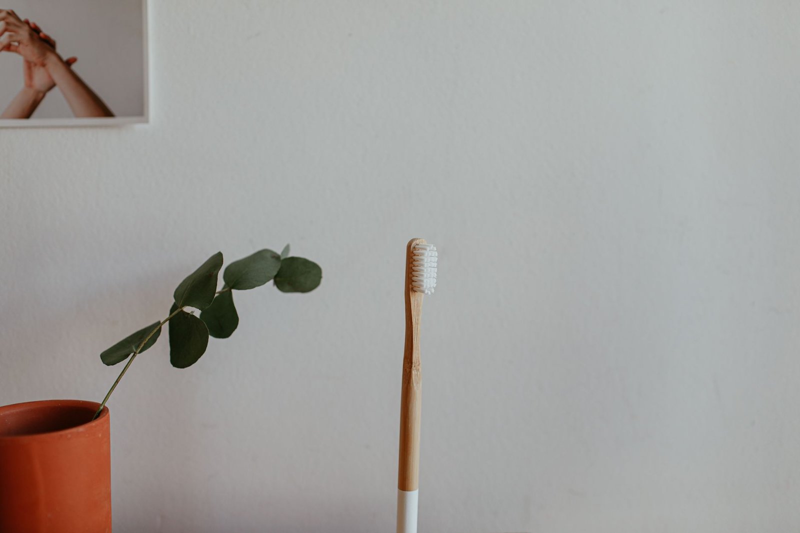 Bamboo Lucky Plant bathroom upgrades — cozy home