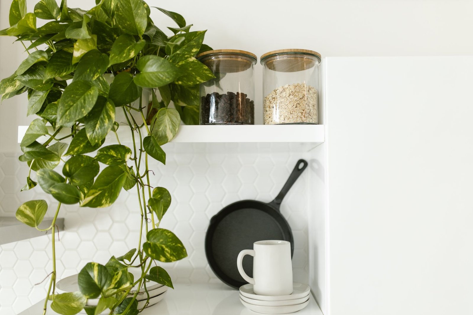 Pothos Trailing Plant bathroom upgrades — cozy home