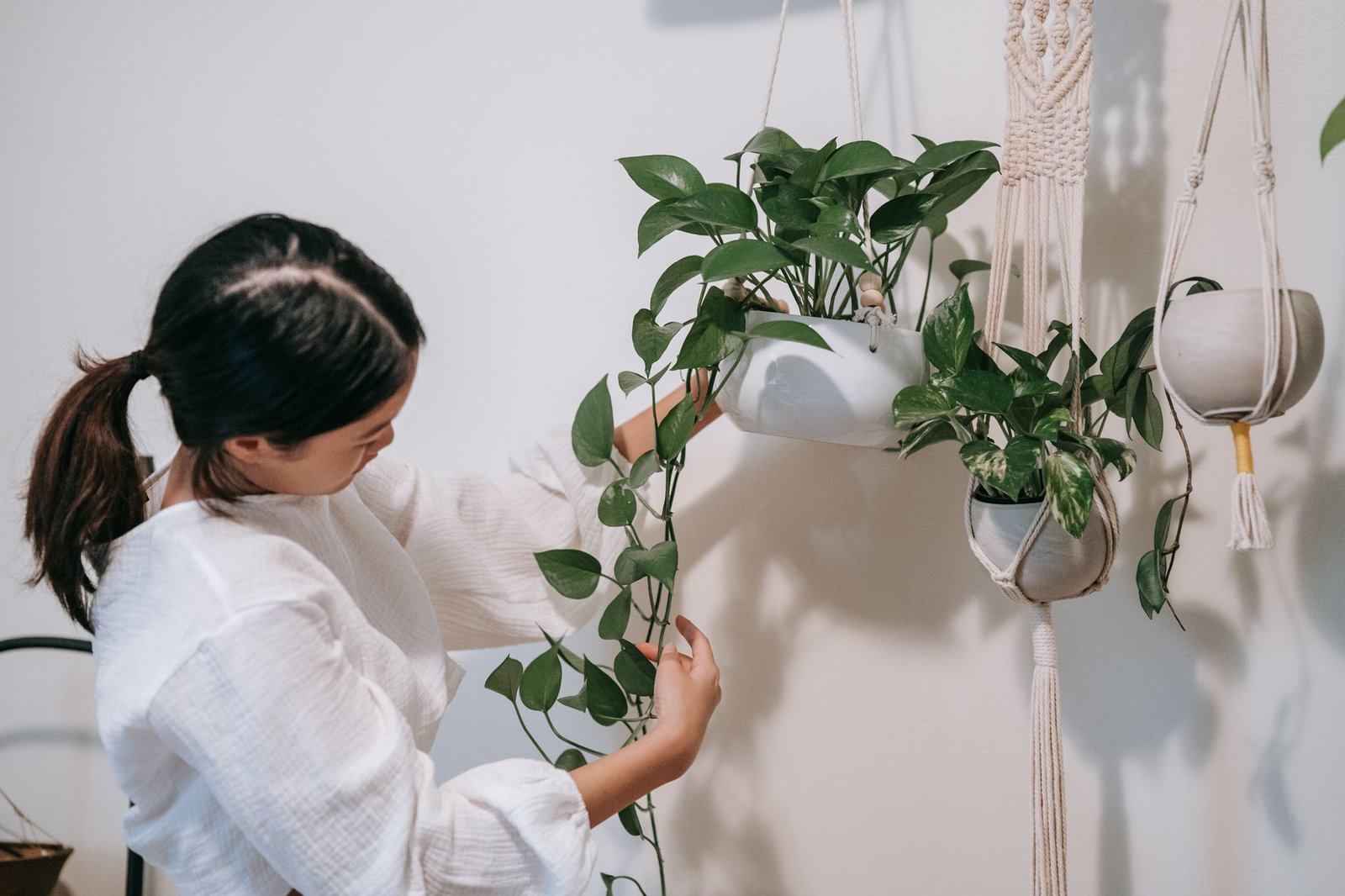 Devil'S Ivy Pothos Pot home office — cozy home